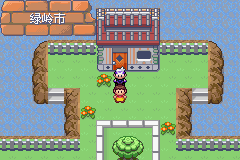 《口袋妖怪漆黑的魅影》5.0图文攻略