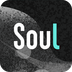 soul分身版