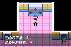 《口袋妖怪漆黑的魅影》5.0图文攻略