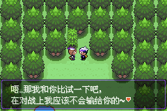 《口袋妖怪漆黑的魅影》5.0图文攻略