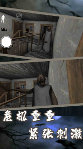 恐怖奶奶7手机版