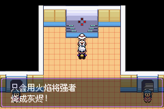 《口袋妖怪漆黑的魅影》5.0图文攻略