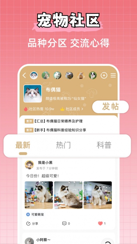 宠物王国