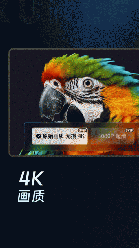 迅雷云盘app