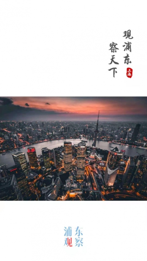 浦东观察app