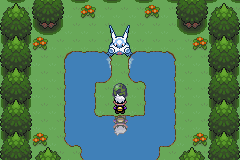 《口袋妖怪漆黑的魅影》5.0图文攻略