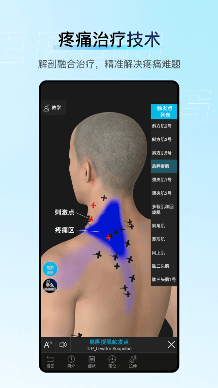 解剖大师app