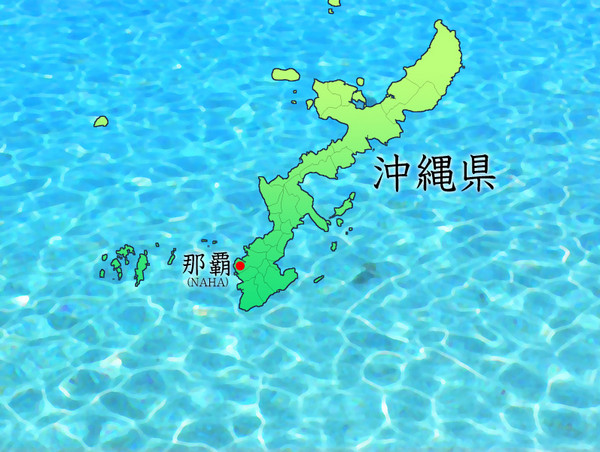 重生萝莉岛中文版