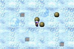 《口袋妖怪漆黑的魅影》5.0图文攻略