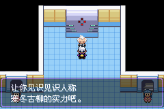 《口袋妖怪漆黑的魅影》5.0图文攻略