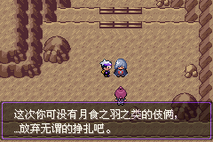 《口袋妖怪漆黑的魅影》5.0图文攻略