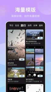 桃花视频免费版