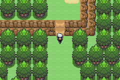 《口袋妖怪漆黑的魅影》5.0图文攻略