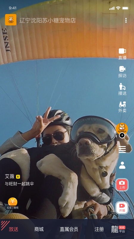 龙平台影视