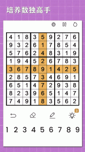 欢乐数独