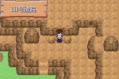 《口袋妖怪漆黑的魅影》5.0图文攻略