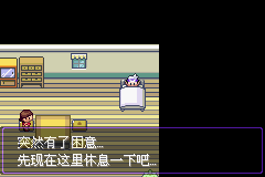 《口袋妖怪漆黑的魅影》5.0图文攻略