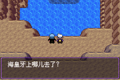 《口袋妖怪漆黑的魅影》5.0图文攻略