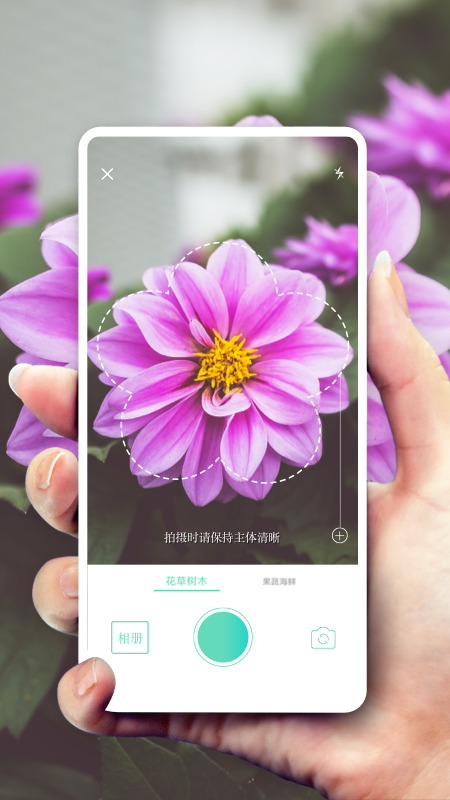 形色植物识别app