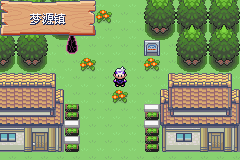 《口袋妖怪漆黑的魅影》5.0图文攻略