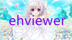 《e站ehviewer》预览图能看大图看不了怎么办