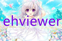 《e站ehviewer》预览图能看大图看不了怎么办
