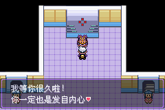 《口袋妖怪漆黑的魅影》5.0图文攻略