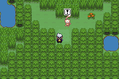 《口袋妖怪漆黑的魅影》5.0图文攻略