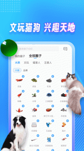 龙巅app官方版