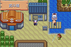 《口袋妖怪漆黑的魅影》5.0图文攻略