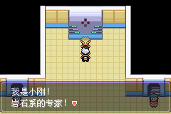 《口袋妖怪漆黑的魅影》5.0图文攻略