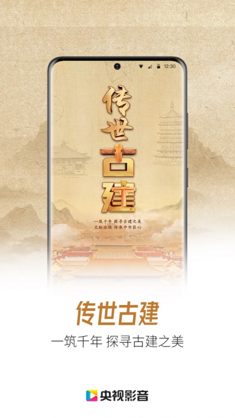 央视影音大字版
