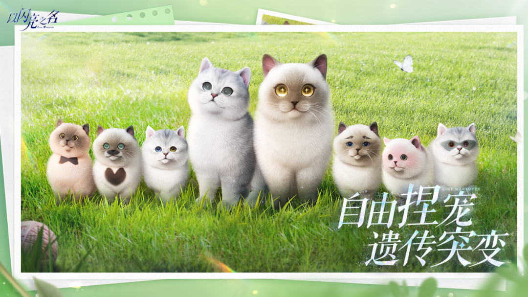 以闪亮之名官方正版