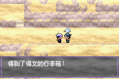 《口袋妖怪漆黑的魅影》5.0图文攻略