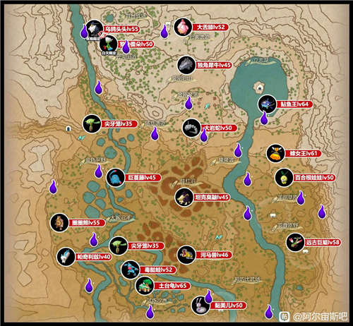 《宝可梦传说》阿尔宙斯头目分布位置图