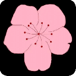 桃花视频免费版