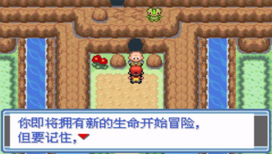 口袋妖怪永恒之焱xyz神兽版(金手指)