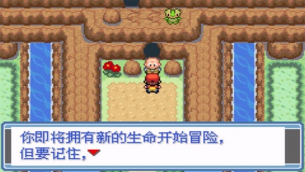 口袋妖怪永恒之焱xyz神兽版(金手指)