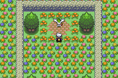 《口袋妖怪漆黑的魅影》5.0图文攻略