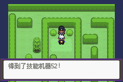 《口袋妖怪漆黑的魅影》5.0图文攻略