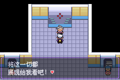 《口袋妖怪漆黑的魅影》5.0图文攻略