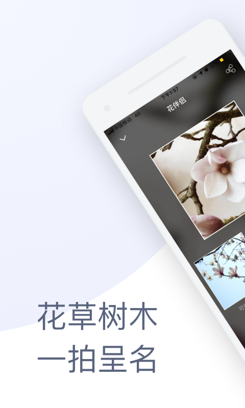 花伴侣app官方版
