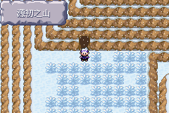 《口袋妖怪漆黑的魅影》5.0图文攻略