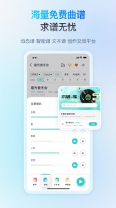 恩雅音乐app