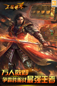 三国世界枭雄版