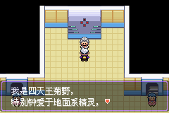 《口袋妖怪漆黑的魅影》5.0图文攻略