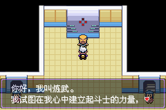 《口袋妖怪漆黑的魅影》5.0图文攻略