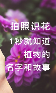 形色植物识别app