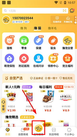 撸宠