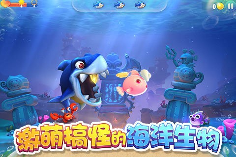 大鱼来了
